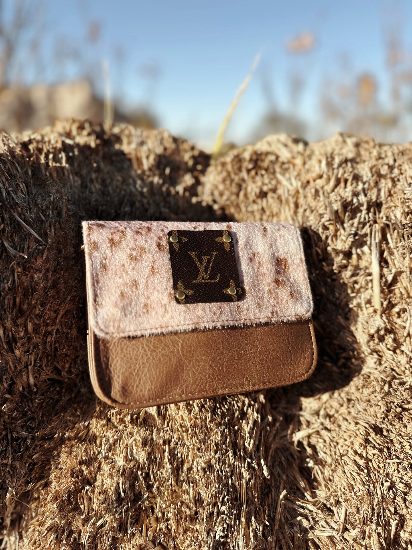 LV Small Cowhide Crossbody