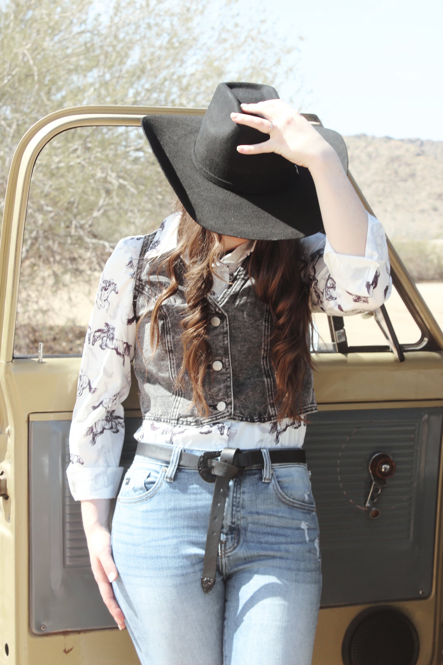 Weathered Stallion Button Up