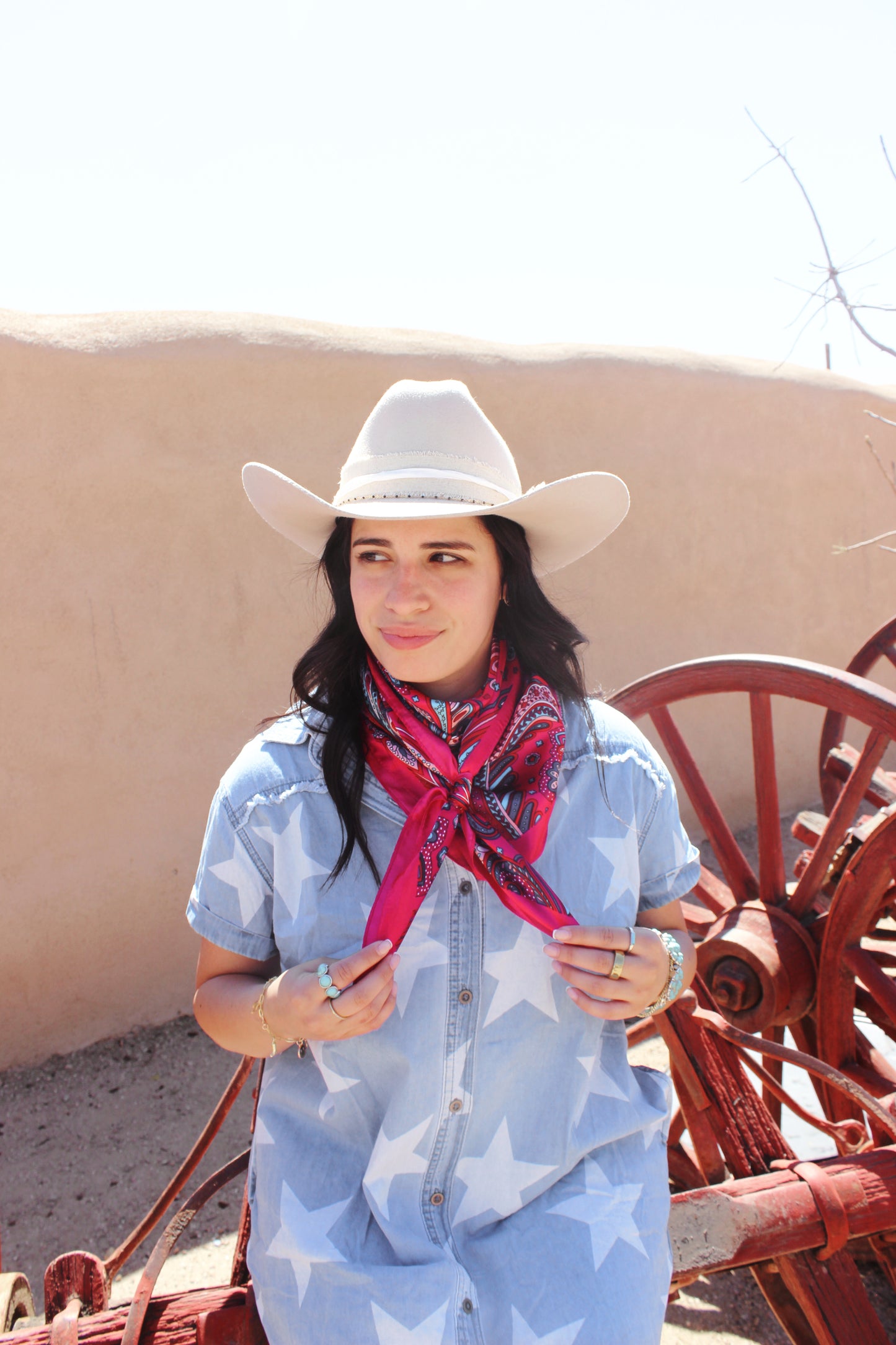 Cowgirl Cadillac Large Wild Rag