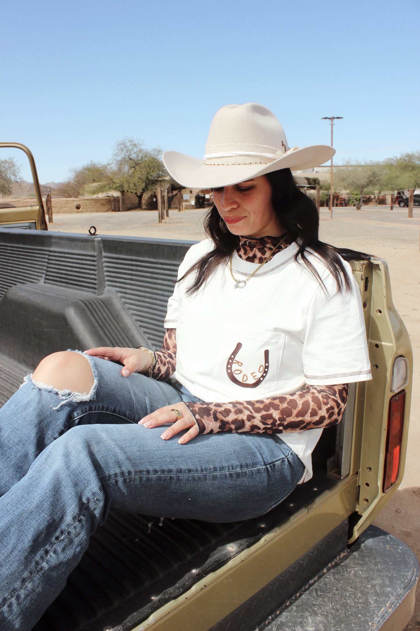 Cheetah Mesh Long Sleeve Top