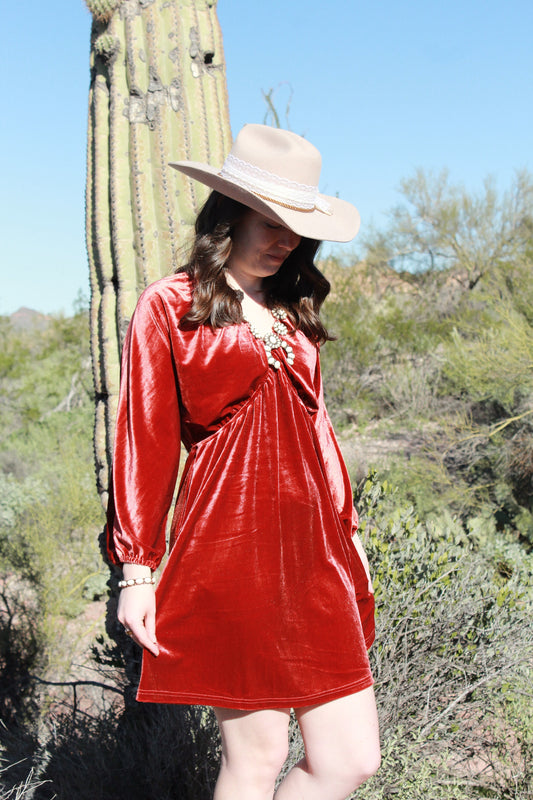 Velvet Spur Dress