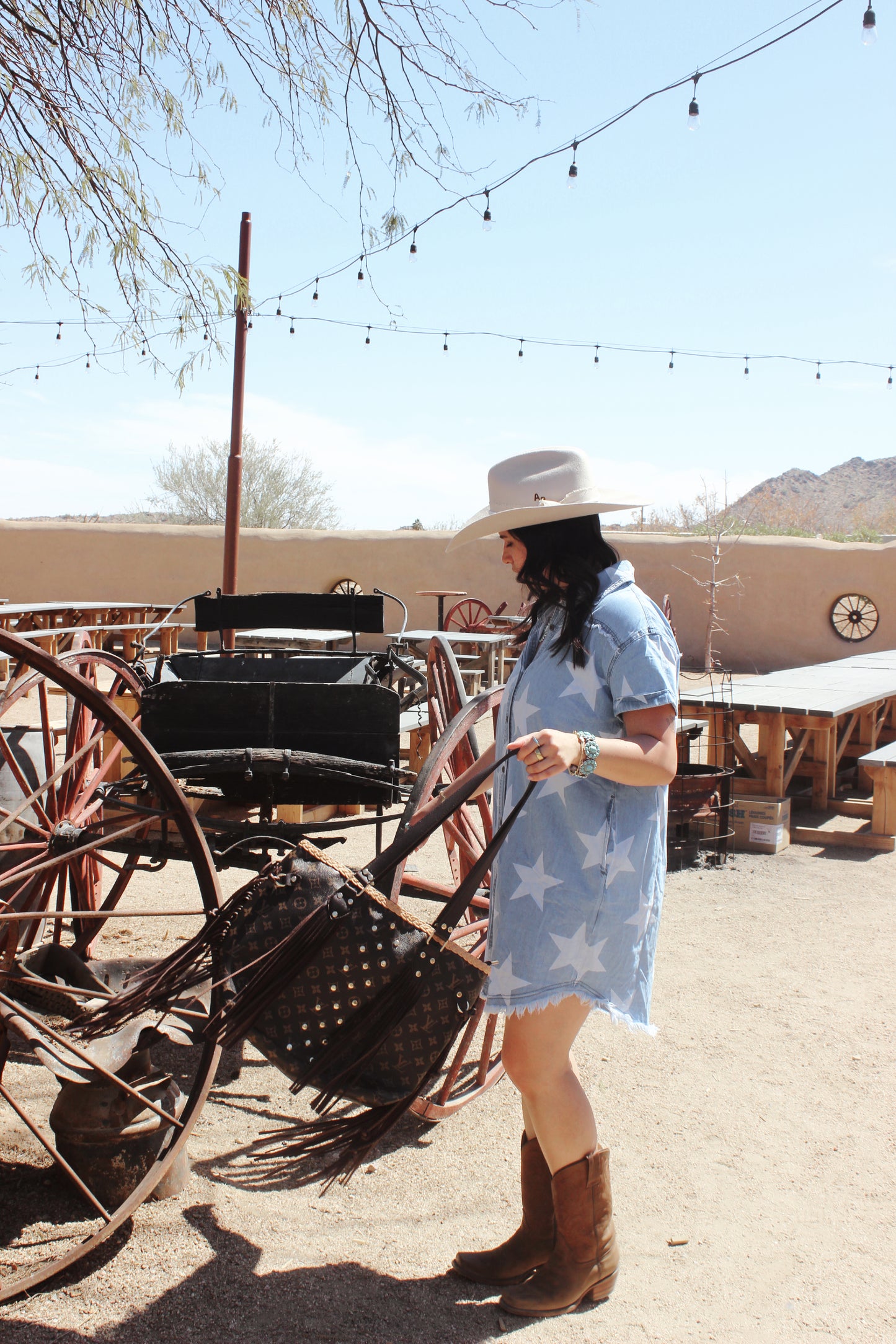 Stardust Frayed Denim Dress