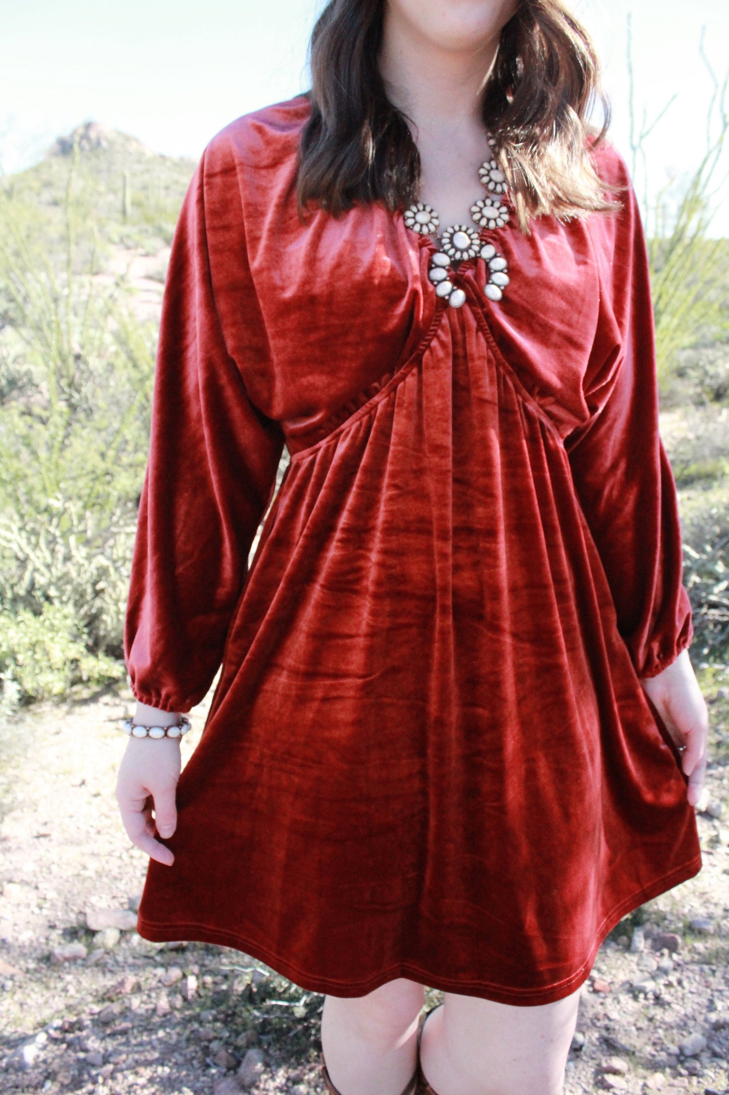 Velvet Spur Dress