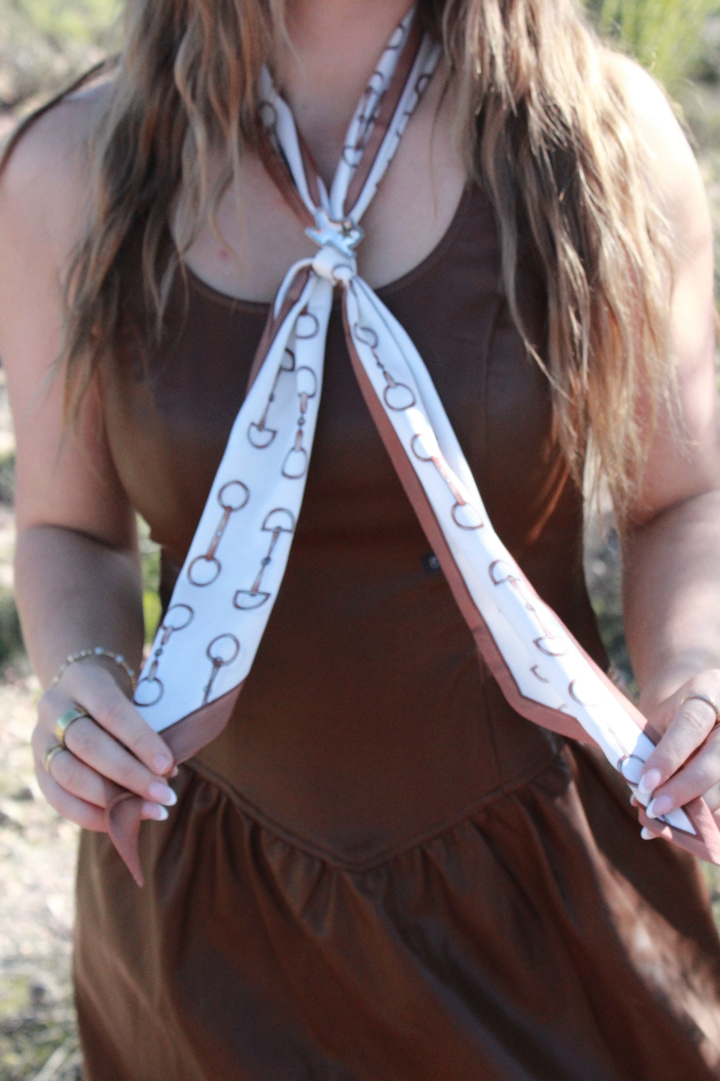 Horse Bit Ribbon Wild Rag