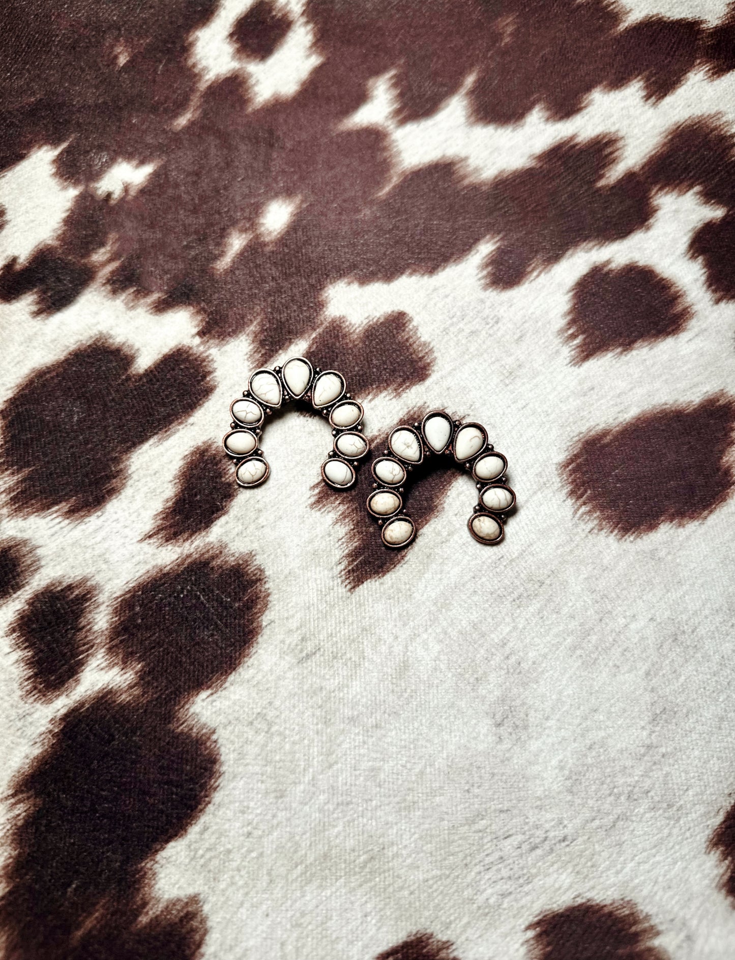 Rustic Radiance Earrings